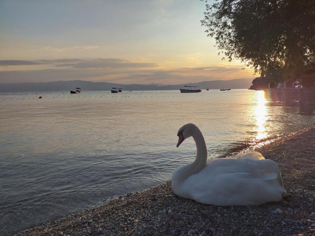Kibar Lägenhet Ohrid Exteriör bild